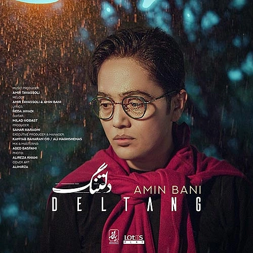 Cover artwork for Deltang by Amin Bani